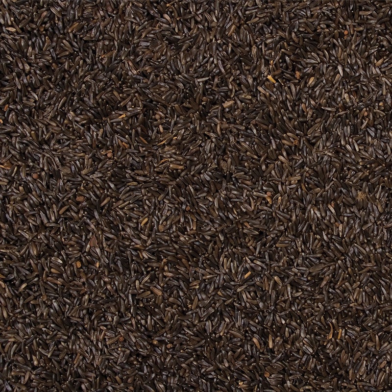 Wild Delight Nyjer Seed, 5 lb - Image 2